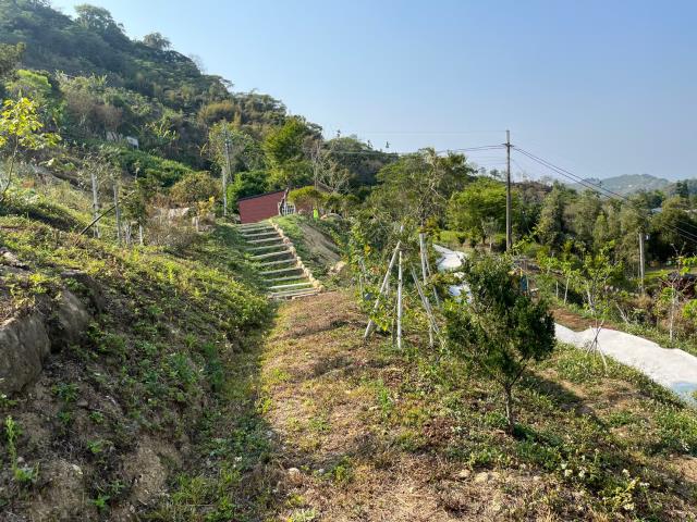 台中東勢農地-3
