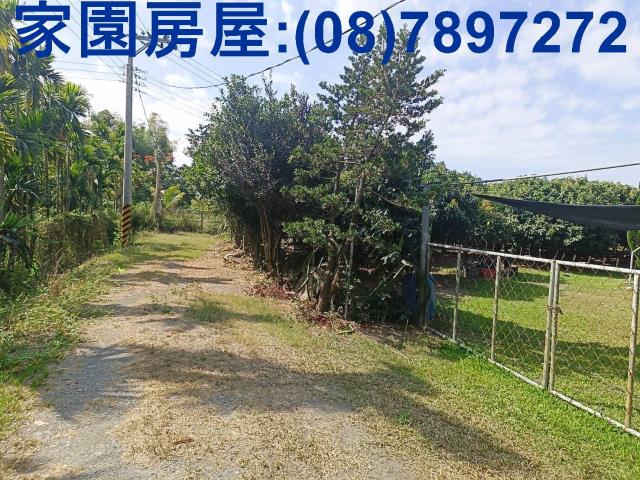 屏東內埔龍泉5米路方正農地