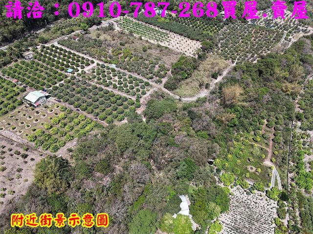 高雄六龜農地-3