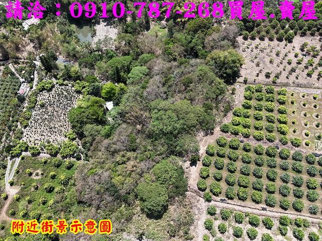 高雄六龜農地-5