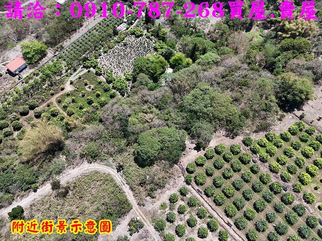 高雄六龜農地-7