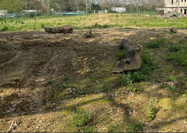 桃園大溪工業地-1