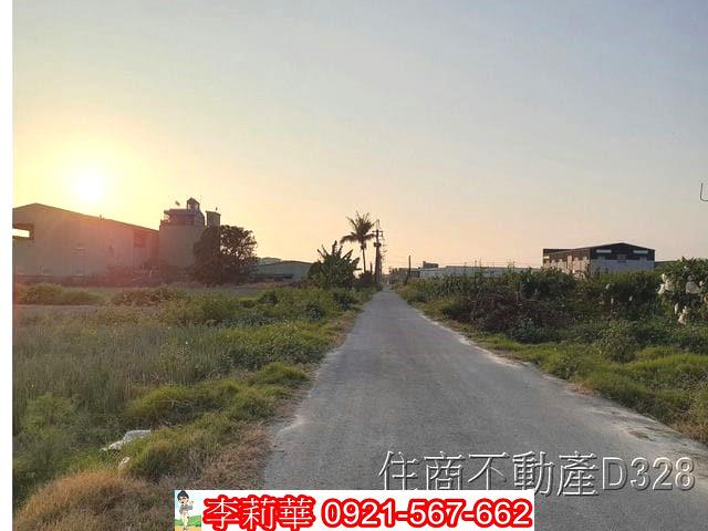 安南農地-12