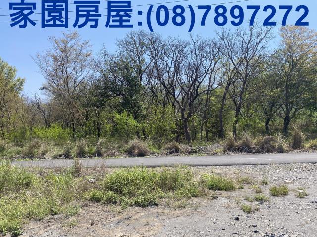 萬巒農地-1