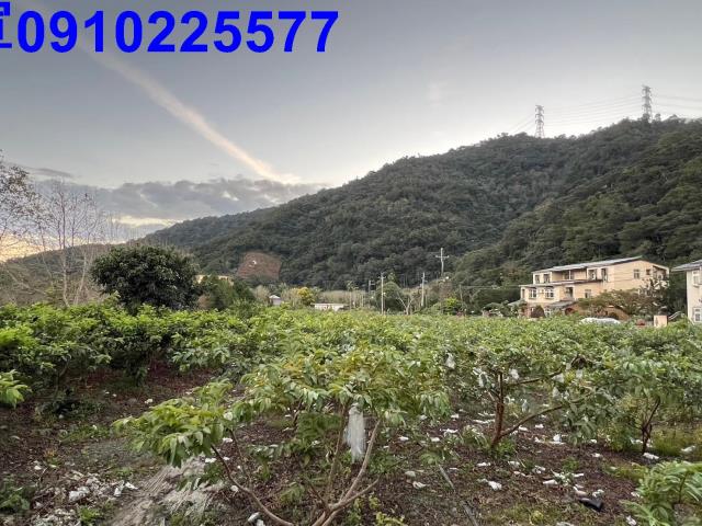員山農地-1