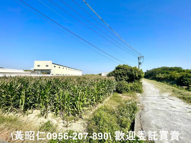 台南安南農地-3