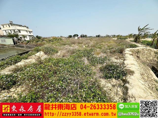 清水農地-3
