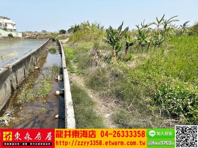 清水農地-5