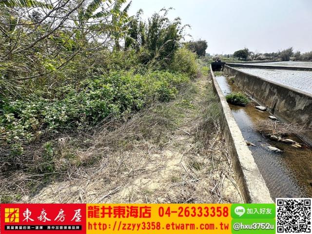 清水農地-6