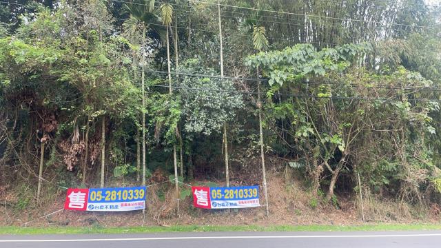 嘉義梅山農地-1