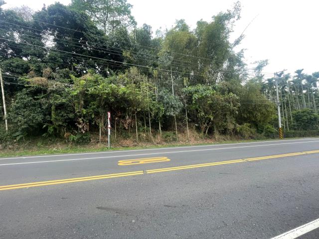 嘉義梅山農地-3