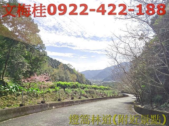 宜蘭員山農地-8