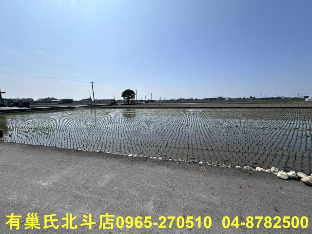 埔鹽農地-2