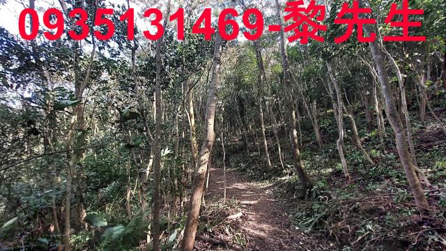 苗栗三灣農地-8