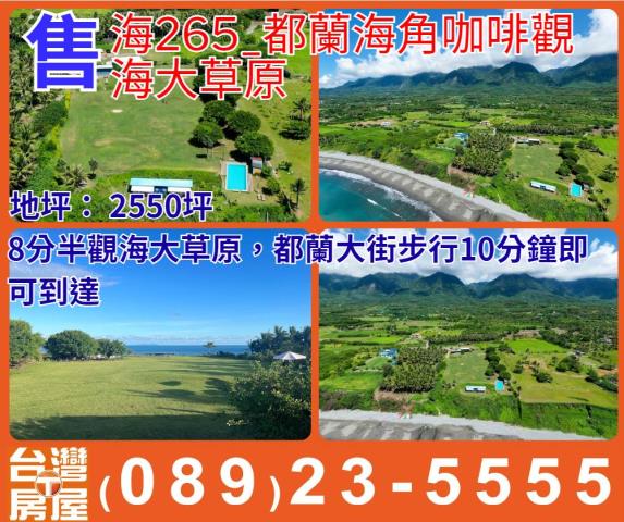 台東東河農地-1