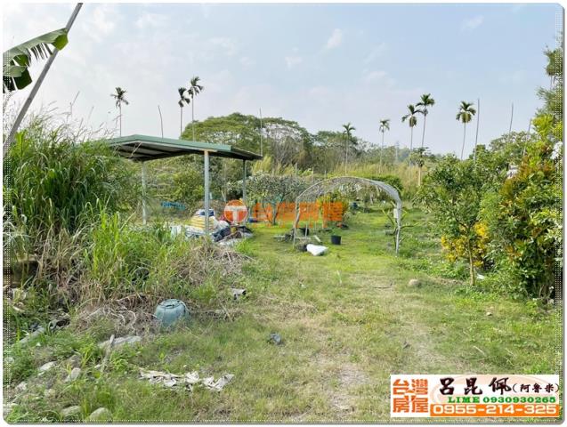竹崎農地-3