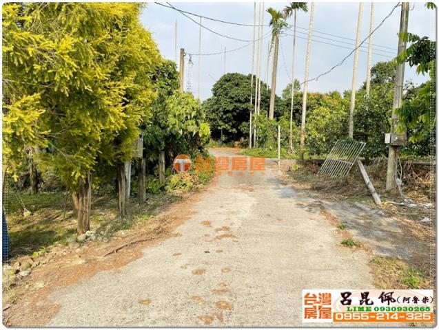 竹崎農地-7