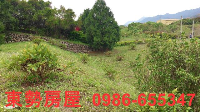 東勢農地-10