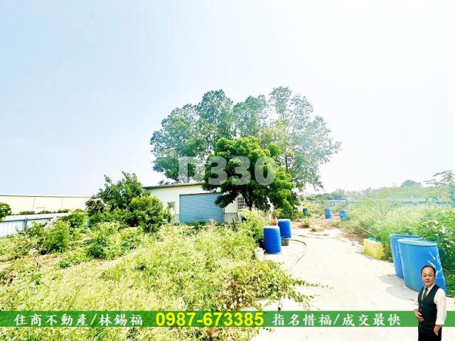 善化農地-1