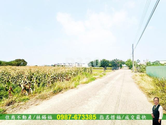 善化農地-5