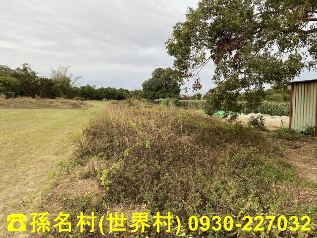 高雄梓官農地-0