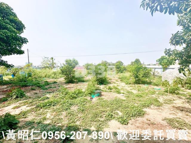 台南農地-2