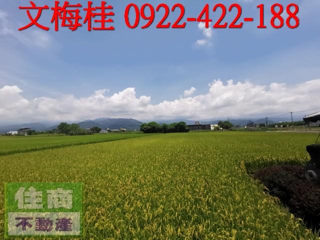 宜蘭農地-1