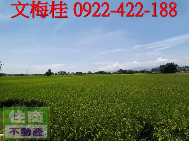 宜蘭農地-3