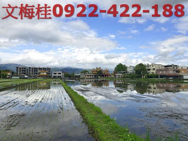 宜蘭農地-6