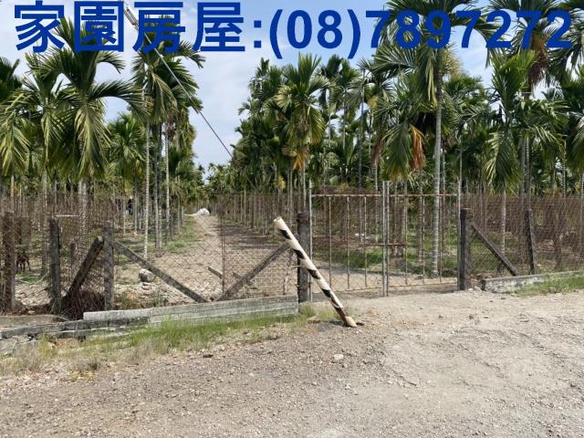 屏東萬巒農地-2