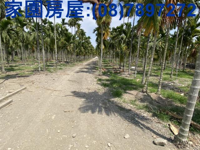 屏東萬巒農地-5