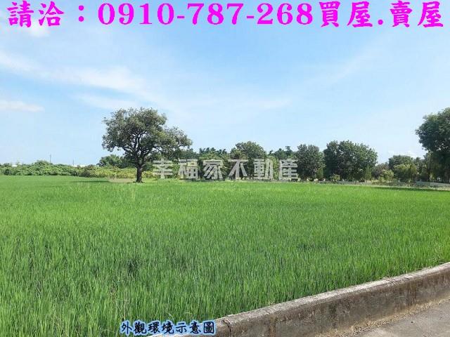 台南官田農地-2