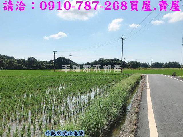 台南官田農地-3