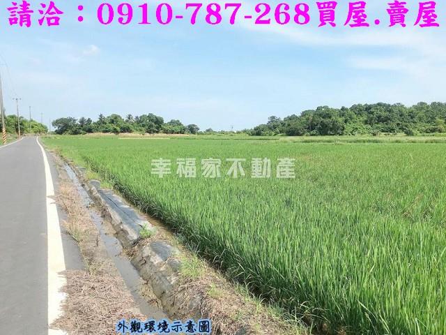 台南官田農地-4