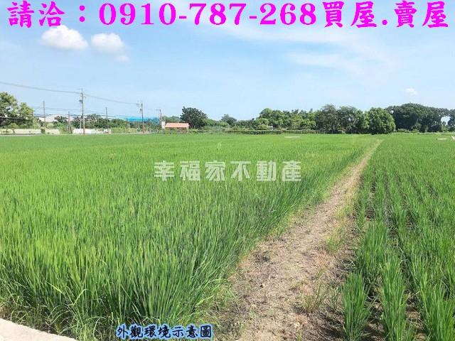 台南官田農地-5