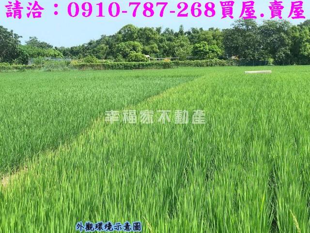 台南官田農地-8