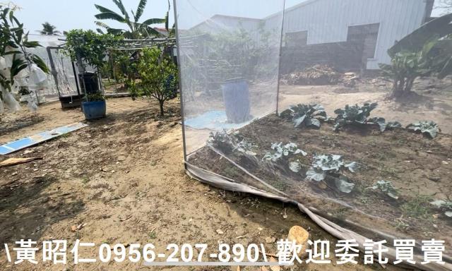歸仁農地-1