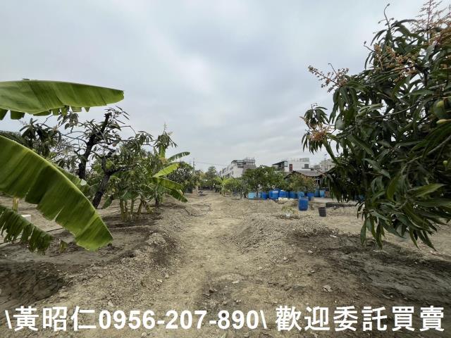 歸仁農地-0
