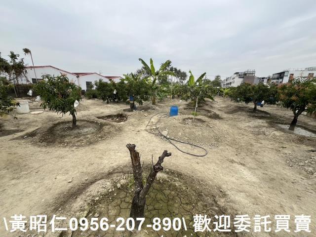 歸仁農地-3