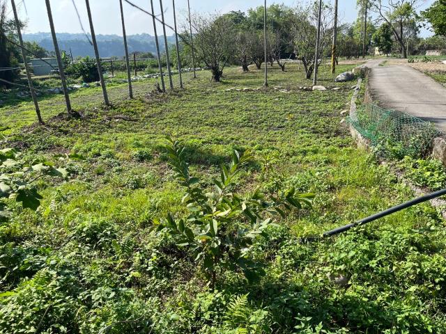 東勢農地-1