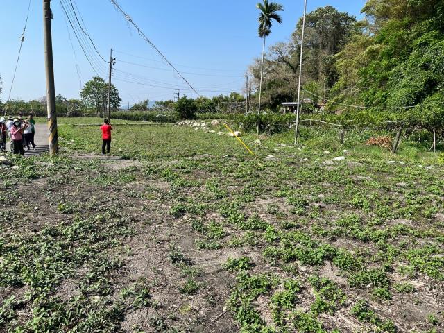 東勢農地-4