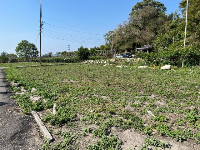 東勢農地-5