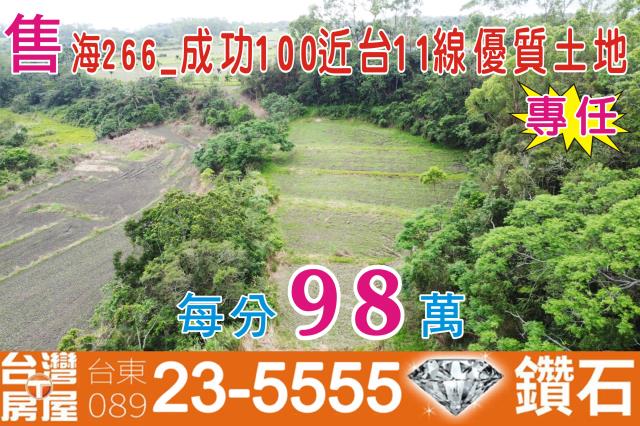 成功農地-0