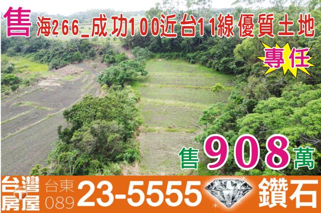 成功農地-1