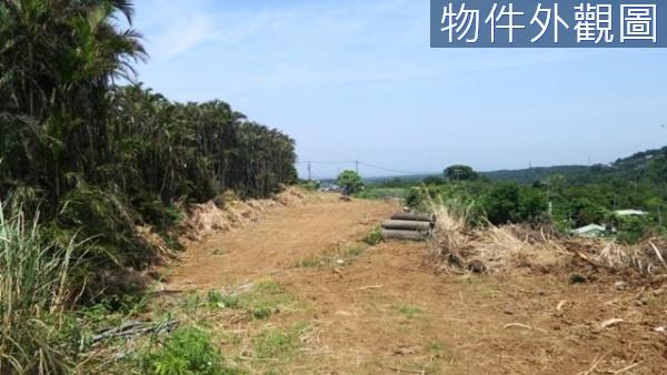 新北農地-12