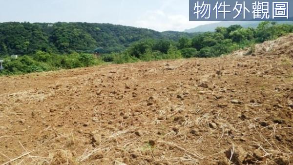 新北農地-14