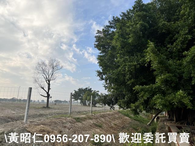 麻豆工業地-5