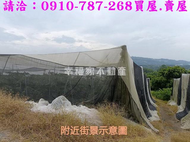 台南農地-4