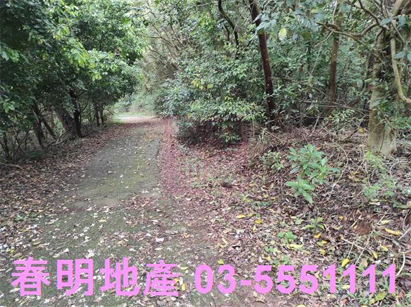 新竹農地-14