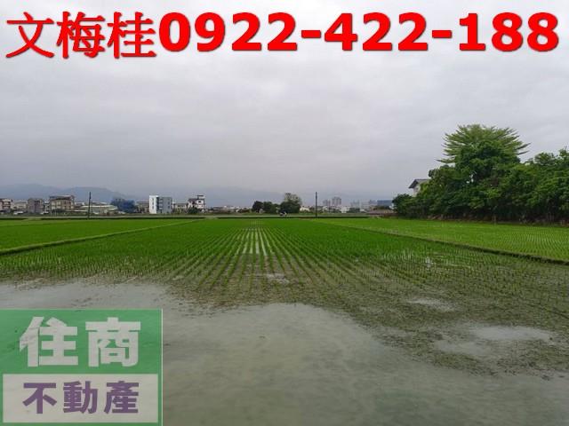 宜蘭宜蘭市農地-0